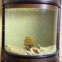 آکواریوم استوانه ای