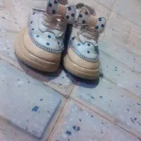 کفش|کیف، کفش، کمربند|تربت جام, بیست متری منبع آب|دیوار