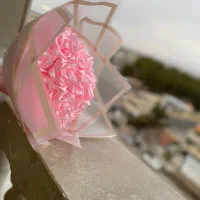 گل جاودانه|گل مصنوعی|تربت‌حیدریه, مظفریه|دیوار