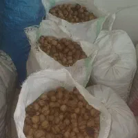 گردو دست چین|خوردنی و آشامیدنی|دره رود, |دیوار