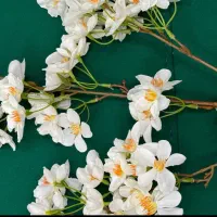 گلدان و گل خارجی|گل مصنوعی|ری, جوانمرد قصاب|دیوار