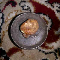 زوعه مار اصل