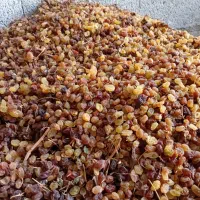 فروش کشمش، پلویی ، تیز آبی و