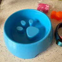 فروش باکس سگ