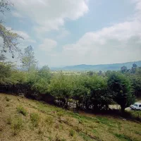 1500مسکونی کوهستانی بر اسفالت|فروش زمین و ملک کلنگی|احمدسرگوراب, |دیوار