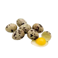 تخم بلدرچین