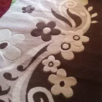 فرش جارو برقی الجی ومیوه خوری پایدار برنز