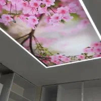 اصفهان دکور. اجرای سقف کشسان ولاین نوری و...