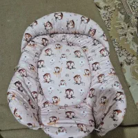 اغوشی درحدنو