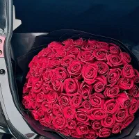 گل رز ویژه اعیاد شهریورماه|گل و گیاه طبیعی|شیراز, عفیفآباد|دیوار