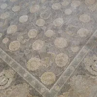 فرش ۱۲ متری ۱۲۰۰ شانه|فرش|نسیمشهر, |دیوار