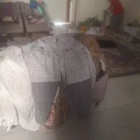 کت کراپ وشلوار پشمی|لباس|تهران, تسلیحات|دیوار