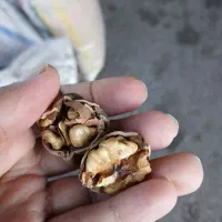 گردو خوش طعم و سفید آذربایجان