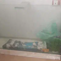 اکواریوم