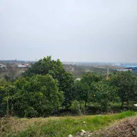 زمین-قابل-ساخت-چشم-انداز-و-ساحلی