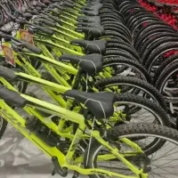 کیشکیلک سبز۲۶/قسطی