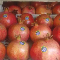 فروش عمده انار ملس ساوه ممتاز|خوردنی و آشامیدنی|گرگان, |دیوار