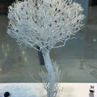 درختچه دکوری