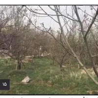 فروش باغ با آب چاه منطقه کوهستانی قم ،دستجرد