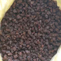 پخش مویز و کشمش اصلی دشمن زیاری