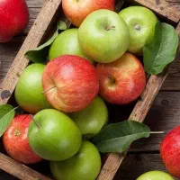 صندوقدار شعبه یوسف آباد