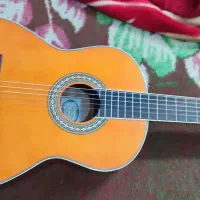 گیتار کلاسیک آندرسEC3941