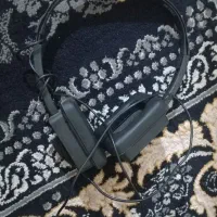 یک عدد هندس فری