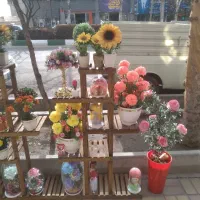 استند گل|کتابخانه، شلف، قفسه‌های دیواری|اسلام‌شهر, شهرک قائمیه|دیوار