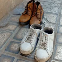 کفش|کیف، کفش، کمربند|بیرجند, |دیوار