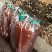 ابغوره /رب انار/شیره انگور /رب گوجه|خوردنی و آشامیدنی|تهران, مسعودیه|دیوار