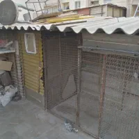 خانه 42متری پاین بازسازی شده3اتاق|فروش آپارتمان|تهران, امام زاده عبدالله|دیوار