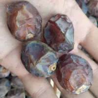 خرما از نخلستون خودمون|خوردنی و آشامیدنی|اهواز, دغاغله|دیوار