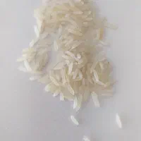 برنج خوشپخت و خوش‌عطر فجر گرگان|خوردنی و آشامیدنی|هشتگرد, شهرک پامچال|دیوار