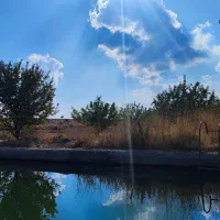 فروش باغ|فروش خانه و ویلا|سراجو, |دیوار