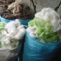 پشم رختخواب|رختخواب، بالش، پتو|باغستان, |دیوار