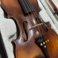 ویولون ۴/۴ ویوالدی|ویولن|مشهد, تربیت (صدف)|دیوار