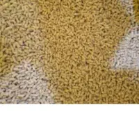 آماده فروش دان دام طیور انواع جوجه