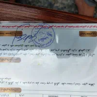 پژو پارس ساده، مدل ۱۳۸۸|خودرو سواری و وانت|یزد, |دیوار