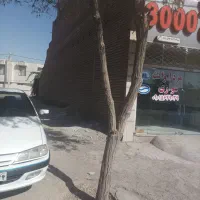 جانبازان 32داخل میلان 160متر زمین