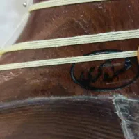 تار حرفه ای