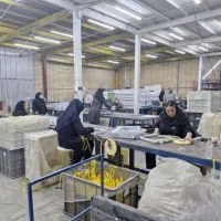 مونتاژ کار خانم وآقا کارخانه لوازم خانگی شمس آباد|استخدام صنعتی، فنی، مهندسی|پرند, فاز ۴|دیوار