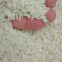 برنج هاشمی ،اورگانیک درجه یک، وزن کم هم میدم