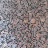 کشمش مویز آفتابی|خوردنی و آشامیدنی|ساری, |دیوار