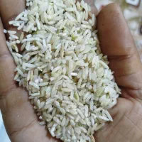 برنج چمپا کیلو/250