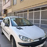 ۲۰۶ تمیز بدون رنگ شاستیها پلمپ