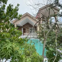 وبلا-استخردار-300متری-سنددار-جنگلی-نقدو-اقساط