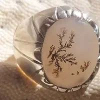 انگشتر شجر پایه امیر ایران