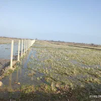 پایه  فنس|مصالح و تجهیزات ساختمان|رضوانشهر, |دیوار