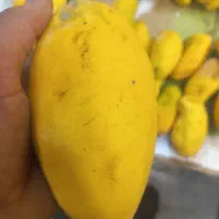 انبه تازه