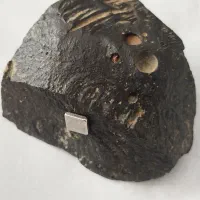 سنگ مشکوک به شهاب سنگ